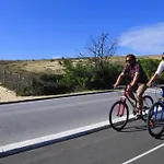L'annexe Des Cigales, A L'ombre Des Chenes Lieges Capbreton