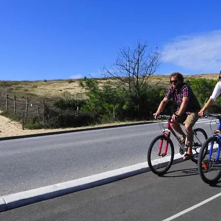 L'annexe Des Cigales, à L'ombre Des Chênes Lièges Capbreton
