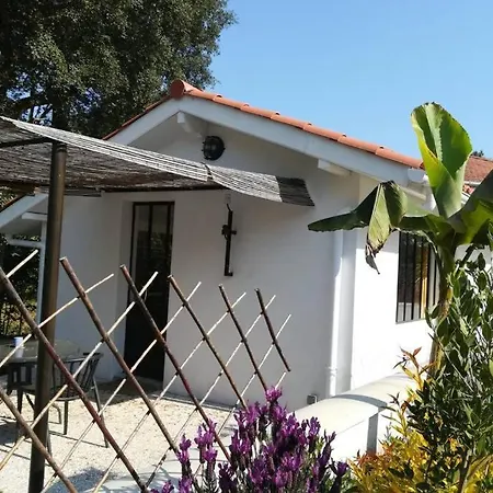 Holiday home L'annexe Des Cigales, A L'ombre Des Chenes Lieges