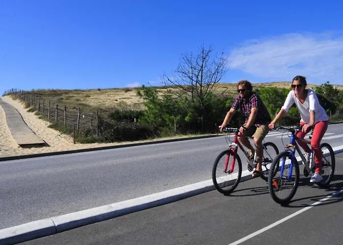 L'annexe Des Cigales, A L'ombre Des Chenes Lieges كابروتو