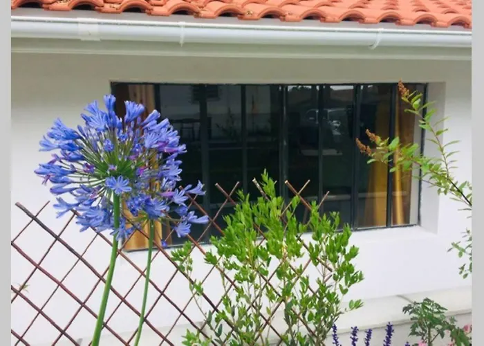 L'annexe Des Cigales, A L'ombre Des Chenes Lieges *