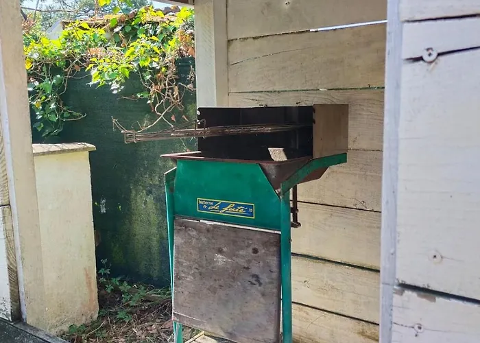 L'annexe Des Cigales, A L'ombre Des Chenes Lieges بيت للعطل كابروتو